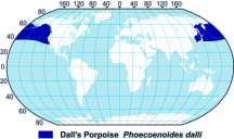Dall’s Porpoise Range Map