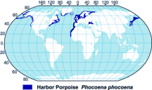 Harbor Porpoise Range Map