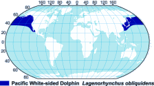 Pacific White-Sided Dolphin Range Map