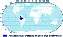 Boto (Amazon River Dolphin) Range Map