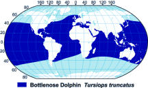 Bottlenose Dolphin Range Map