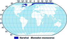 Narwhal Range Map