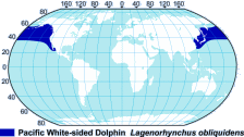 Pacific White-Sided Dolphin Range Map