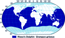 Risso’s Dolphin Range Map